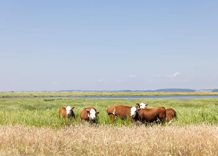 Borre Knob Fjordhotel Bed & Breakfast 3*