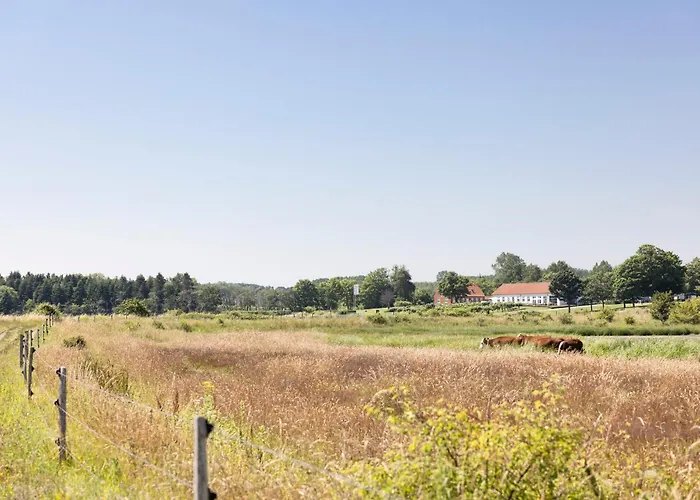 Borre Knob Fjordhotel 3*