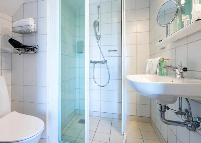 Borre Knob Fjordhotel Bed & Breakfast Juelsminde (Hedensted)